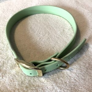 Leather dog collar mint green gold buckle brand new